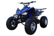 New 175CC Fully Automatic Coolster ATV-3175S Full Sized ATV