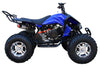 New 175CC Fully Automatic Coolster ATV-3175S Full Sized ATV