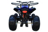 New 175CC Fully Automatic Coolster ATV-3175S Full Sized ATV