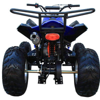 New 175CC Fully Automatic Coolster ATV-3175S Full Sized ATV