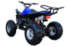 New 175CC Fully Automatic Coolster ATV-3175S Full Sized ATV