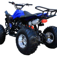 New 175CC Fully Automatic Coolster ATV-3175S Full Sized ATV