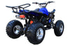 New 175CC Fully Automatic Coolster ATV-3175S Full Sized ATV