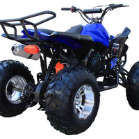 New 175CC Fully Automatic Coolster ATV-3175S Full Sized ATV