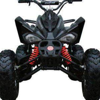 New 175CC Fully Automatic Coolster ATV-3175S Full Sized ATV
