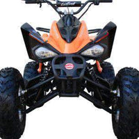 New 175CC Fully Automatic Coolster ATV-3175S Full Sized ATV