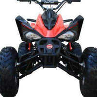 New 175CC Fully Automatic Coolster ATV-3175S Full Sized ATV