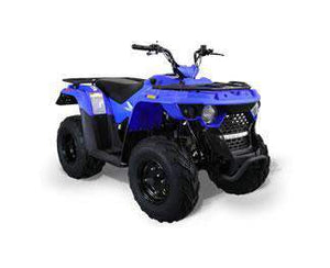 New Youth Utility 150cc - Bennche Grey Wolf 150 - Youth Y12 ATV Four Wheeler w Reverse - CA Carb Approved
