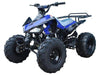 New Youth - Tao Tao G125 Cheetah 125cc Sport ATV - CA Carb Approved