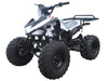 New Youth - Tao Tao G125 Cheetah 125cc Sport ATV - CA Carb Approved
