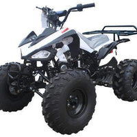 New Youth - Tao Tao G125 Cheetah 125cc Sport ATV - CA Carb Approved