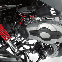 New 300cc - Trailmaster Challenger 300X - Deluxe Youth/Adult UTV - CA Carb Approved - Free Shipping utvs Wholesale ATV 