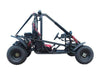 New Adult 200cc - Tao Tao Targa 200 Go Kart - Free Shipping Go karts Wholesale ATV Black 