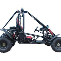New Adult 200cc - Tao Tao Targa 200 Go Kart - Free Shipping Go karts Wholesale ATV Black 