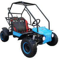 New Youth 125cc - Coolster GK6125B - Youth Go Kart - Free Shipping