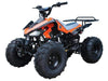 New Youth - Tao Tao G125 Cheetah 125cc Sport ATV - CA Carb Approved