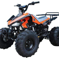 New Youth - Tao Tao G125 Cheetah 125cc Sport ATV - CA Carb Approved