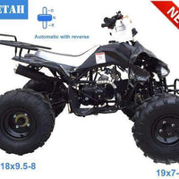 New Youth - Tao Tao G125 Cheetah 125cc Sport ATV - CA Carb Approved