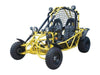 New Adult 200cc - Tao Tao Targa 200 Go Kart - Free Shipping Go karts Wholesale ATV yellow 