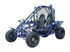 New Adult 200cc - Tao Tao Targa 200 Go Kart - Free Shipping Go karts Wholesale ATV Blue 
