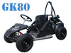 New Kids - Tao Tao GK80 - Go Kart - CA Carb Approved - Free Shipping atvs Wholesale ATV 