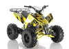 New Larger Youth 125cc - Apollo Sniper - ATV Utility Sport - CA Carb Approved - Free Shipping atvs Wholesale ATV 