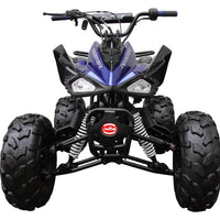 New Coolster 125CC CX-2 Fully Automatic Mid Size Youth ATV - CA Carb Approved