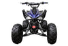 New Coolster 125CC C-2 Semi-automatic Mid Size Youth Kids ATV - CA Carb Approved