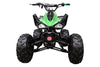 New Coolster 125CC C-2 Semi-automatic Mid Size Youth Kids ATV - CA Carb Approved