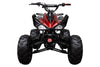 New Coolster 125CC C-2 Semi-automatic Mid Size Youth Kids ATV - CA Carb Approved