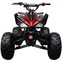 New Coolster 125CC C-2 Semi-automatic Mid Size Youth Kids ATV - CA Carb Approved
