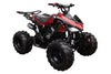 New Coolster 125CC CX-2 Fully Automatic Mid Size Youth ATV - CA Carb Approved