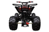 New Coolster 125CC C-2 Semi-automatic Mid Size Youth Kids ATV - CA Carb Approved