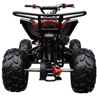 New Coolster 125CC C-2 Semi-automatic Mid Size Youth Kids ATV - CA Carb Approved