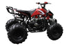 New Coolster 125CC C-2 Semi-automatic Mid Size Youth Kids ATV - CA Carb Approved