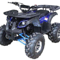 New Vitacci RIDER 10 DLX - 125cc Fully Automatic Youth ATV with Reverse