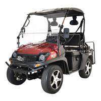 New Bennche Cowboy 200i - 177cc EFI 2x4 UTV