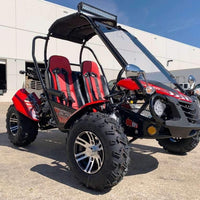 New 200cc - Trailmaster Blazer 200X- Go Kart w/Reverse - CA Carb Approved