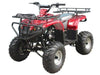New Adult - Tao Tao ATA125F1 - Utility 125cc ATV - CA Carb Approved - Free Shipping atvs Wholesale ATV 