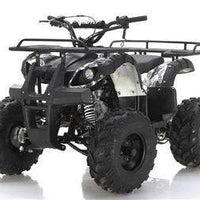 New 125cc - APOLLO FOCUS 125 - Fully Auto Utility Larger Youth ATV