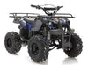 New 125cc - APOLLO FOCUS 125 - Fully Auto Utility Larger Youth ATV