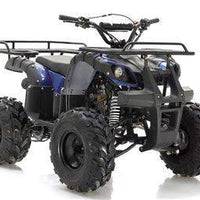 New 125cc - APOLLO FOCUS 125 - Fully Auto Utility Larger Youth ATV
