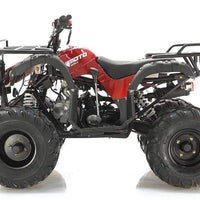 New 125cc - APOLLO FOCUS 125 - Fully Auto Utility Larger Youth ATV