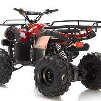 New 125cc - APOLLO FOCUS 125 - Fully Auto Utility Larger Youth ATV
