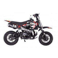 New Tao Tao DB10 - 110cc Fully Automatic Youth Dirt Bike