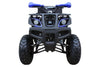 New Coolster ATV-3150DX-4  Fully Automatic Full Sized Utility ATV - CA Carb Approved