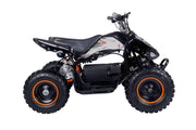 New Tao Tao E1-500 - Electric Mini Youth ATV