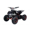 New Tao Tao E1-500 - Electric Mini Youth ATV