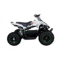 New Tao Tao E1-500 - Electric Mini Youth ATV