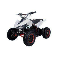 New Tao Tao E1-500 - Electric Mini Youth ATV